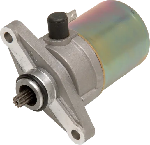 Rick's Electric Starter Motor