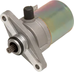 Rick's Electric Starter Motor
