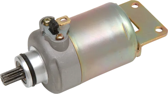 Rick's Electric Starter Motor