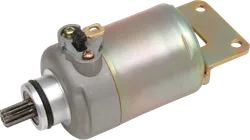 Rick's Electric Starter Motor