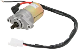 Rick's Electric Starter Motor