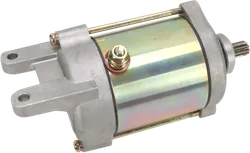 Rick's Electric Starter Motor