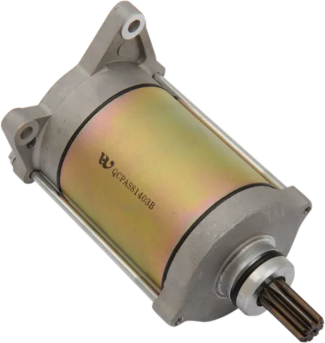 Rick's Electric Starter Motor
