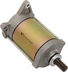 Rick's Electric Starter Motor