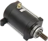 Rick's Electric Starter Motor