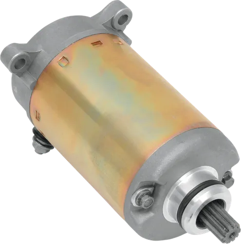 Rick's Electric Starter Motor