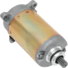 Rick's Electric Starter Motor