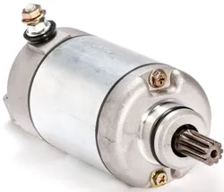 Rick's Electric Starter Motor