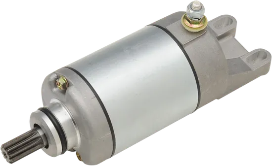 Rick's Electric Starter Motor