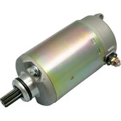 Rick's Electric Starter Motor
