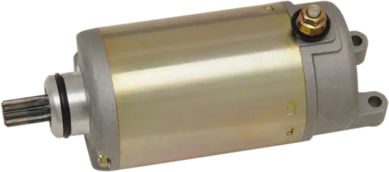 Rick's Electric Starter Motor