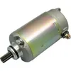 Rick's Electric Starter Motor