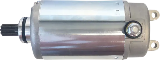 Rick's Electric Starter Motor