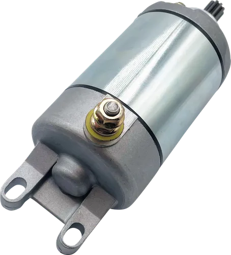Ricks Electric Starter Motor