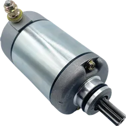 Ricks Electric Starter Motor