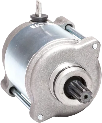 Rick's Electric Starter Motor