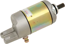 Rick's Electric Starter Motor
