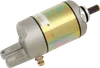 Rick's Electric Starter Motor