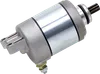 Rick's Electric Starter Motor