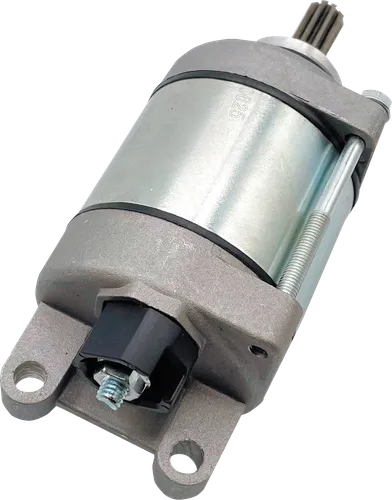 Ricks Electric Starter Motor