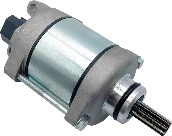 Ricks Electric Starter Motor