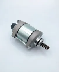 Ricks Electric Starter Motor