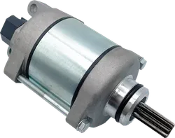 Ricks Electric Starter Motor