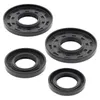 Vertex Crankshaft Oil Seal Set