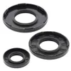 Vertex Crankshaft Oil Seal Set