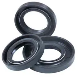 Vertex Crankshaft Oil Seal Set
