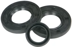 Vertex Jet Pump Oil Seal Set