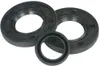 Vertex Jet Pump Oil Seal Set