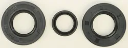 Vertex Jet Pump Oil Seal Set