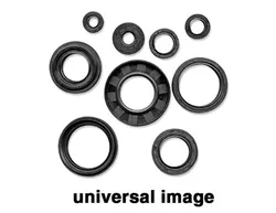 Vertex Jet Pump Oil Seal Set