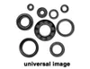 Vertex Jet Pump Oil Seal Set