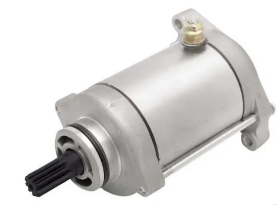Rick's Electric Starter Motor