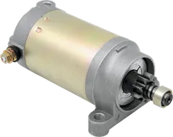 Rick's Electric Starter Motor