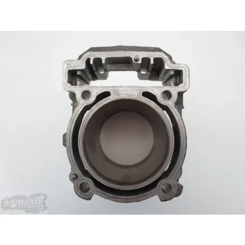 Can-Am Renegade 800 Rear Cylinder Jug Can Am 2010 Parts 703 3