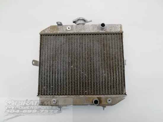 Engine Radiator Cooling PARTS Honda Rubicon 500 TRX500FA 2002 x