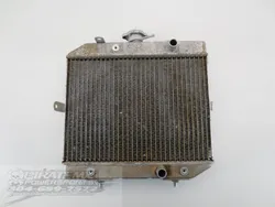 Engine Radiator Cooling PARTS Honda Rubicon 500 TRX500FA 2002 x