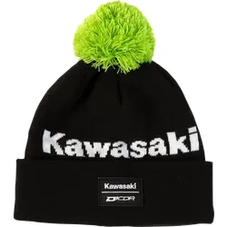 Dcor Adult Unisex Stripe Beanie One Size Black Green