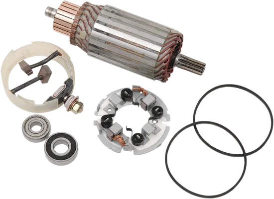 Rick's Starter Rebuild Kit