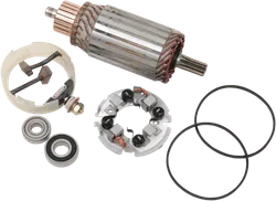 Rick's Starter Rebuild Kit