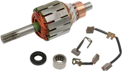 Rick's Starter Rebuild Kit