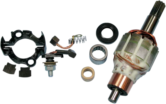 Rick's Starter Rebuild Kit