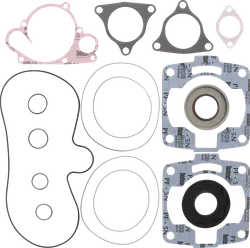 Winderosa Complete Engine Gasket Kit w Oil Seals