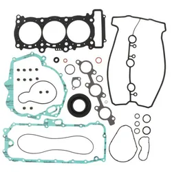 Winderosa Complete Engine Gasket Kit w Oil Seals
