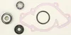 Vertex Water Pump Rebuild Repair kit