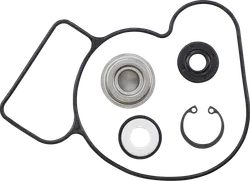 Vertex Water Pump Rebuild Repair kit