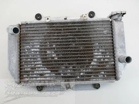 Engine Radiator Cooling 2006 Yamaha YFZ450 896A x